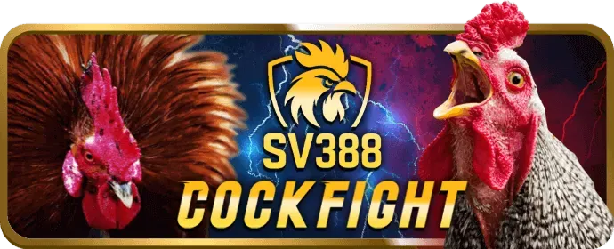 Sự đa dạng của trò chơi slot tại pk88 code